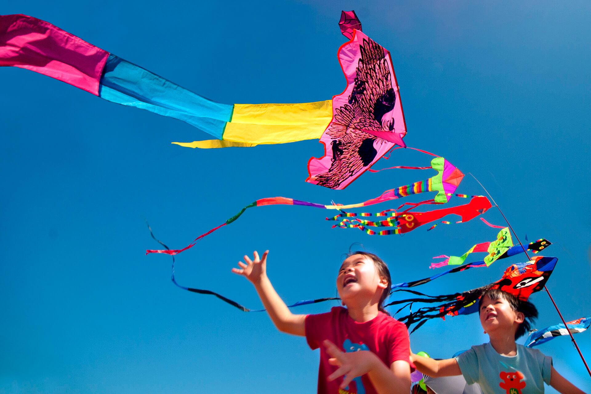 North Coast International Kite Festival 