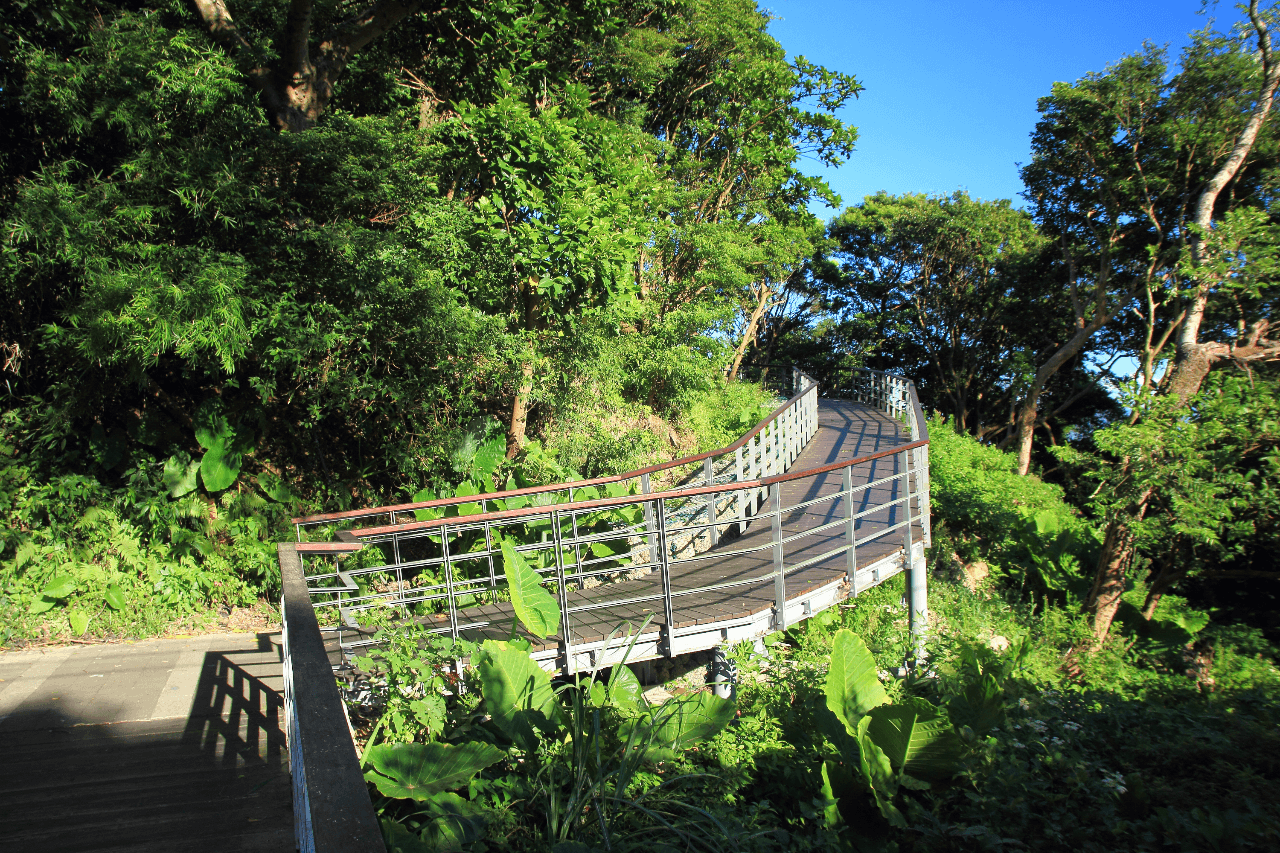 林梢歩道