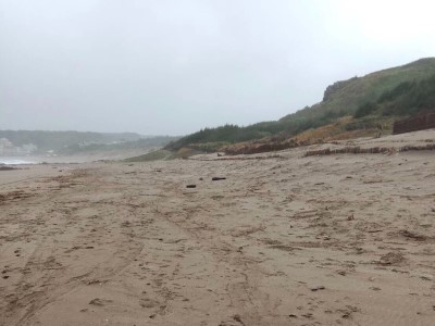 白沙灣海岸