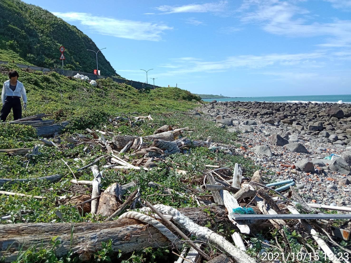 草里海岸