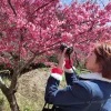 菲姐