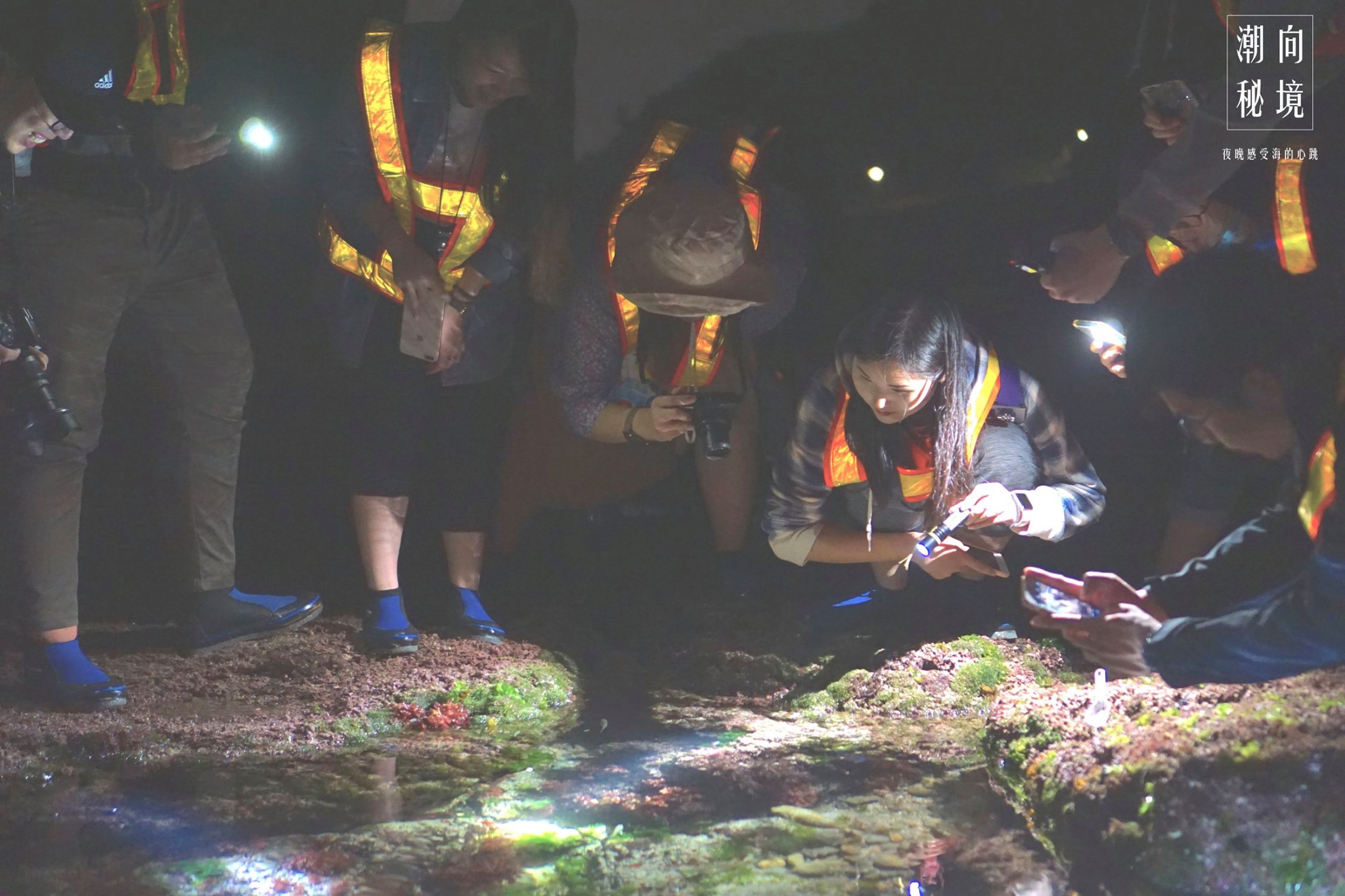 和平島公園與環境友善種子團隊合作夜間潮間帶環境教育課程