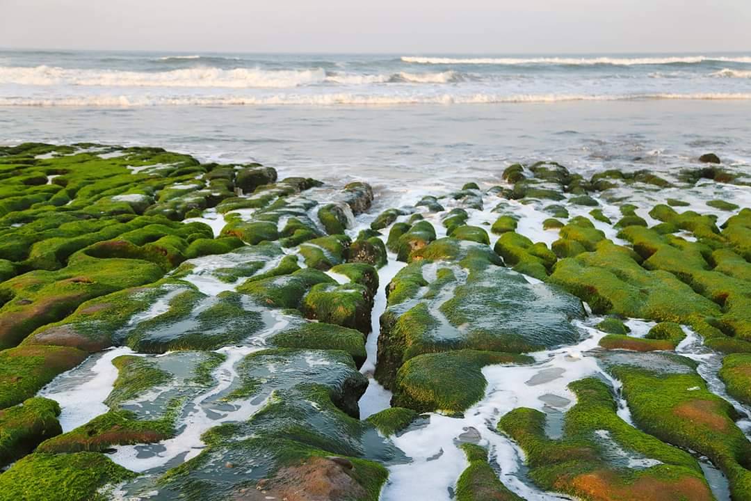 Laomei Green Reefs in early March 