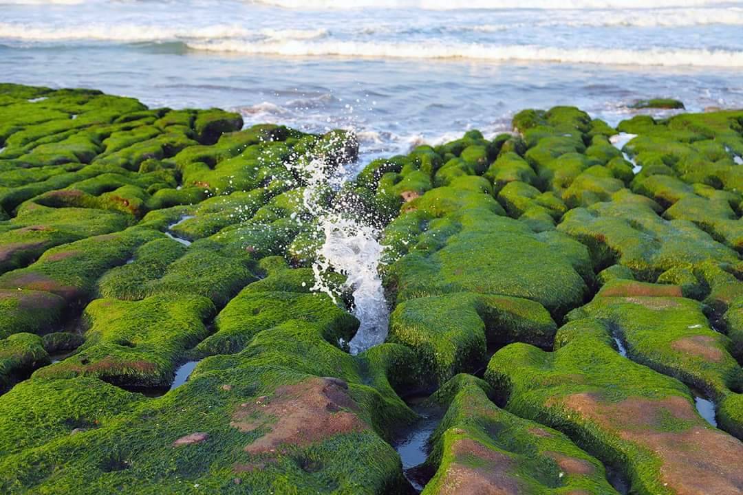 Laomei Green Reefs in early March 