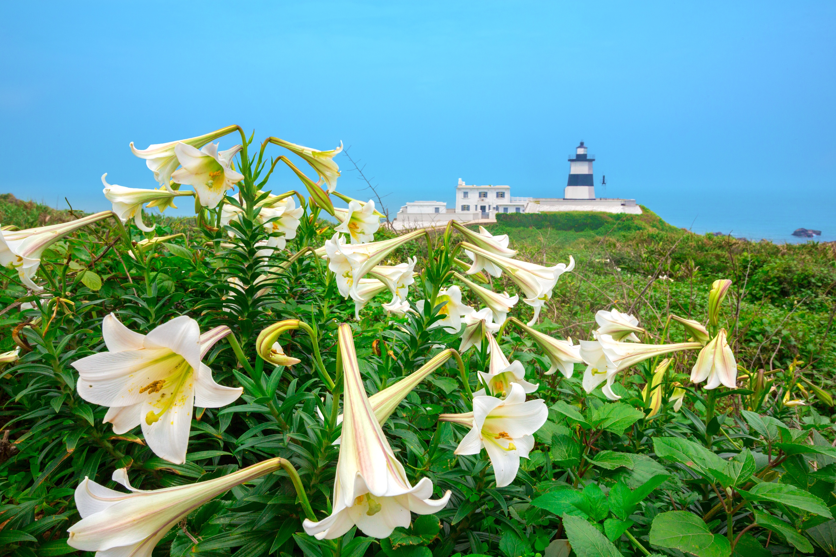 Fugui Cape Lighthouse