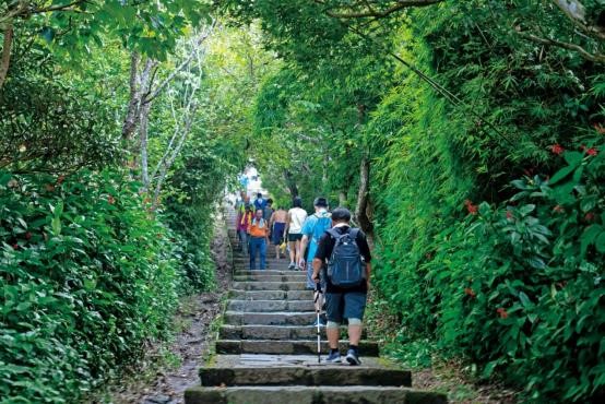 觀音山步道生態豐富是民眾假日休閒好去處