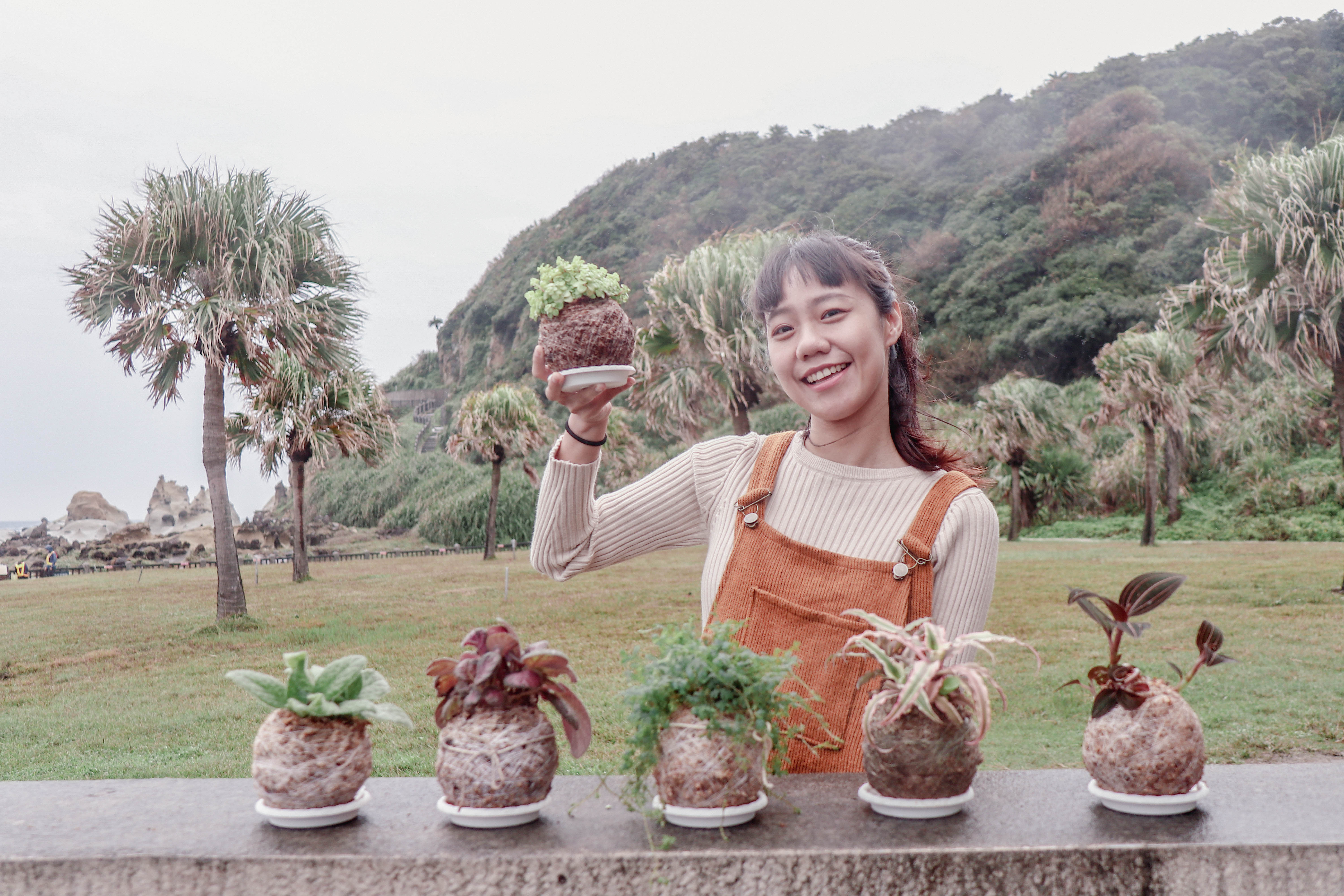 永續苔球