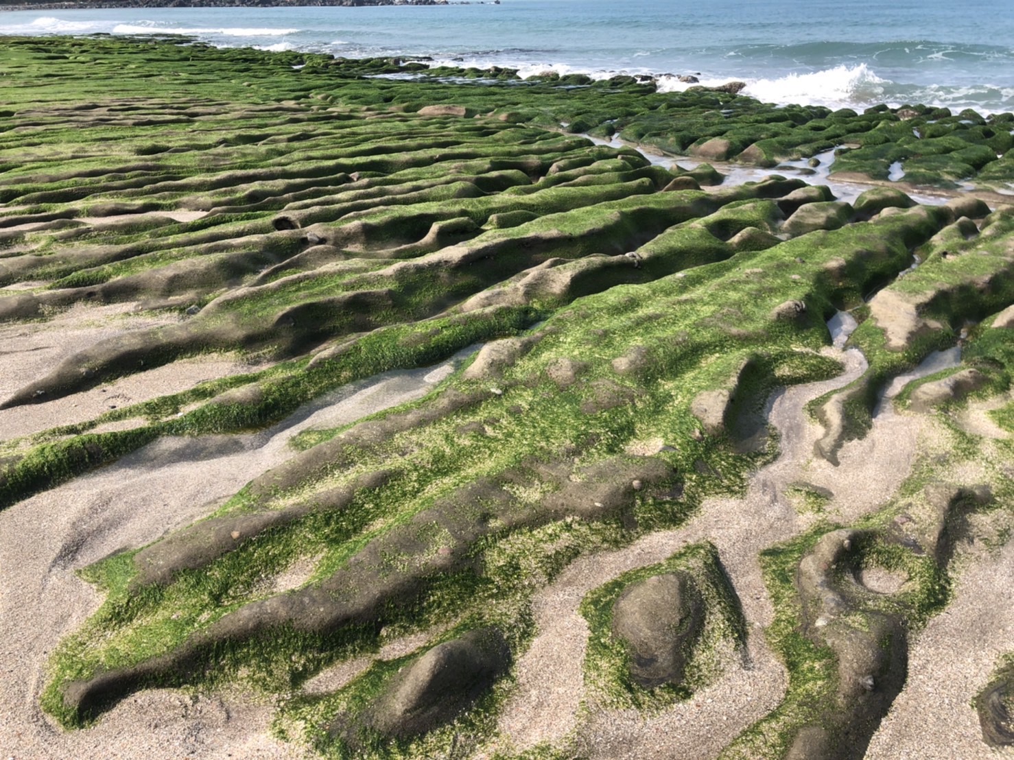 交通部觀光局北海岸及觀音山國家風景區管理處觀光資訊網 旅遊情報 最新消息 春季限定美景 老梅綠石槽北觀處結合社區巡守並積極落實 向海致敬