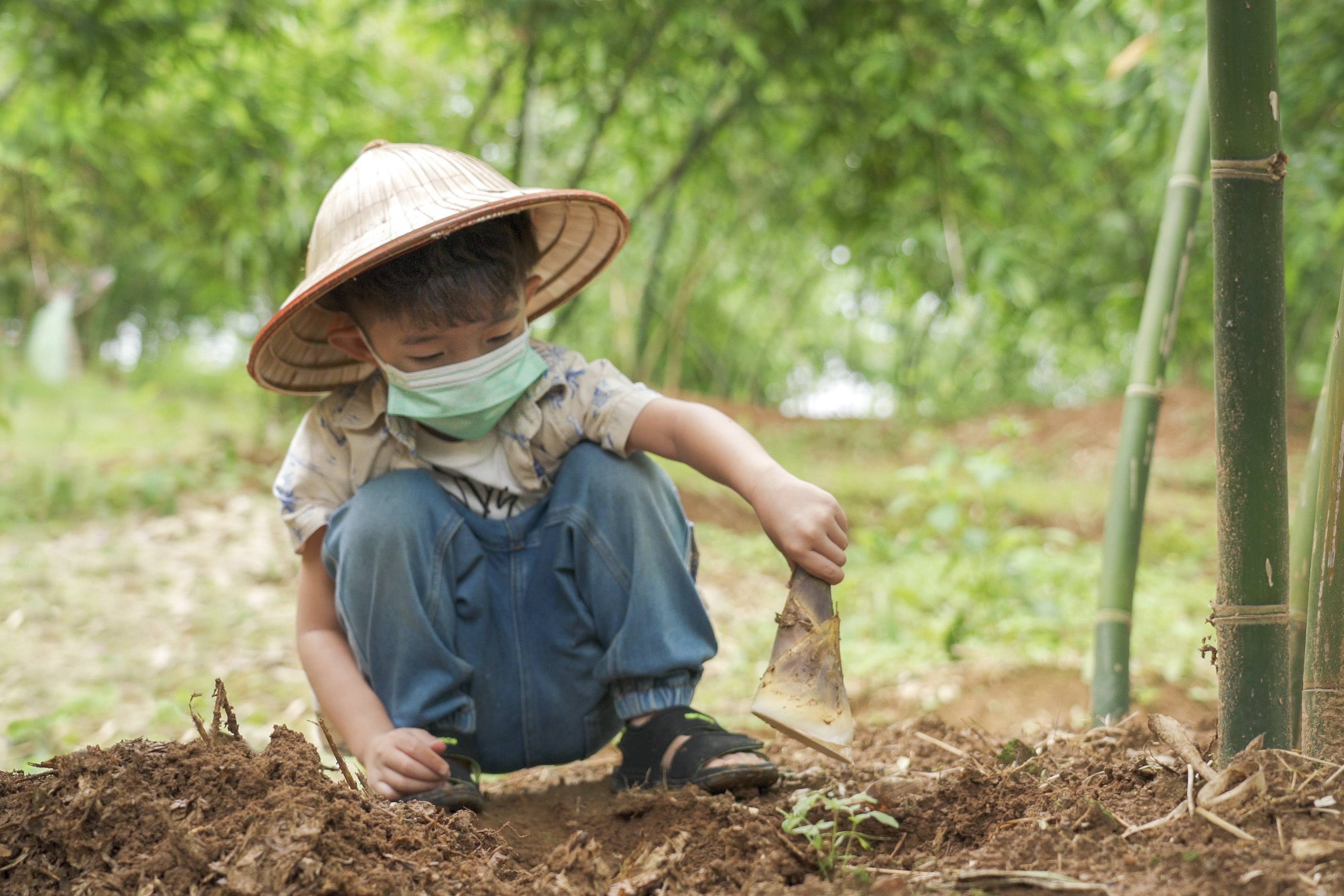 Green Bamboo Shoot Harvesting Experience