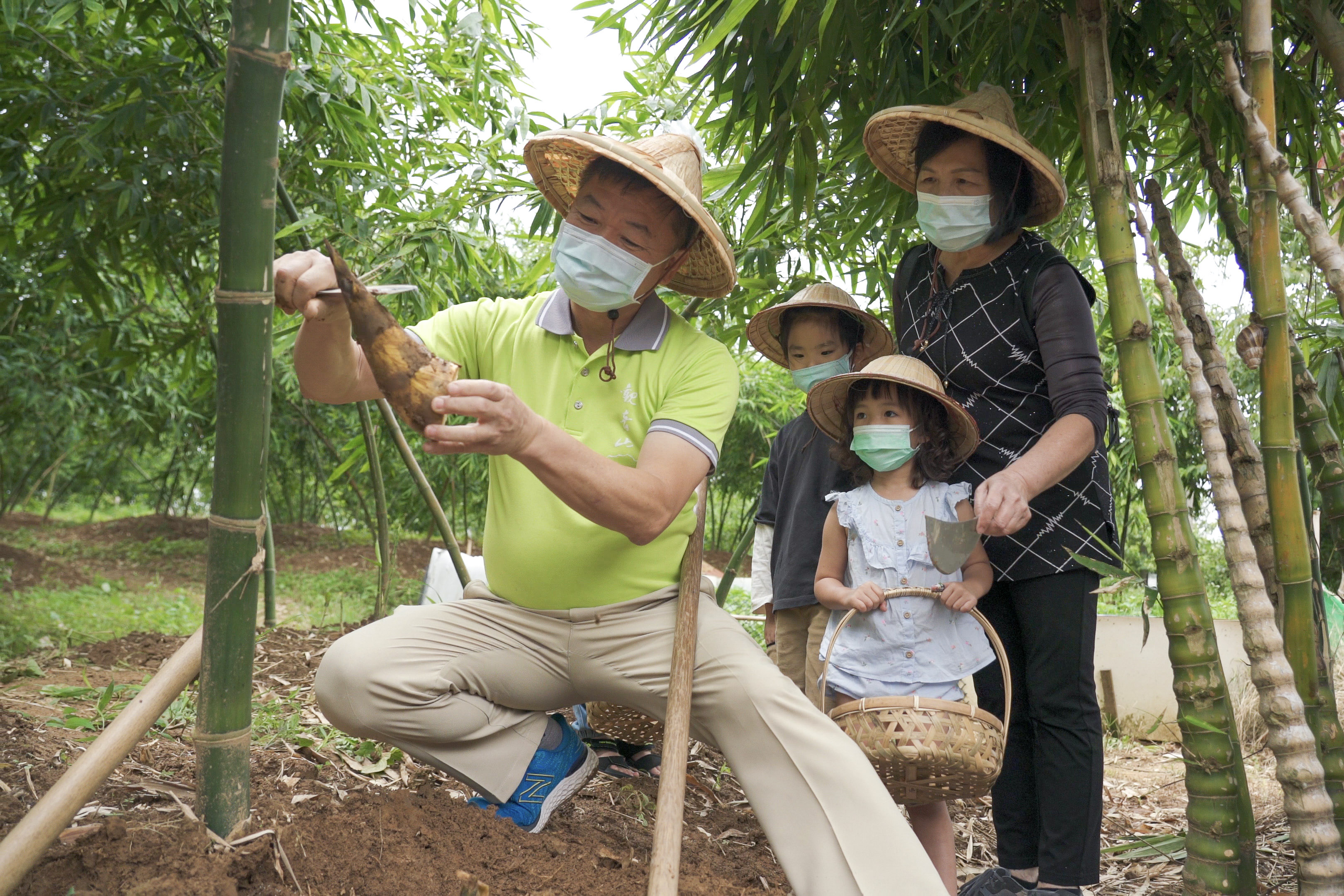 Green Bamboo Shoot Harvesting Experience