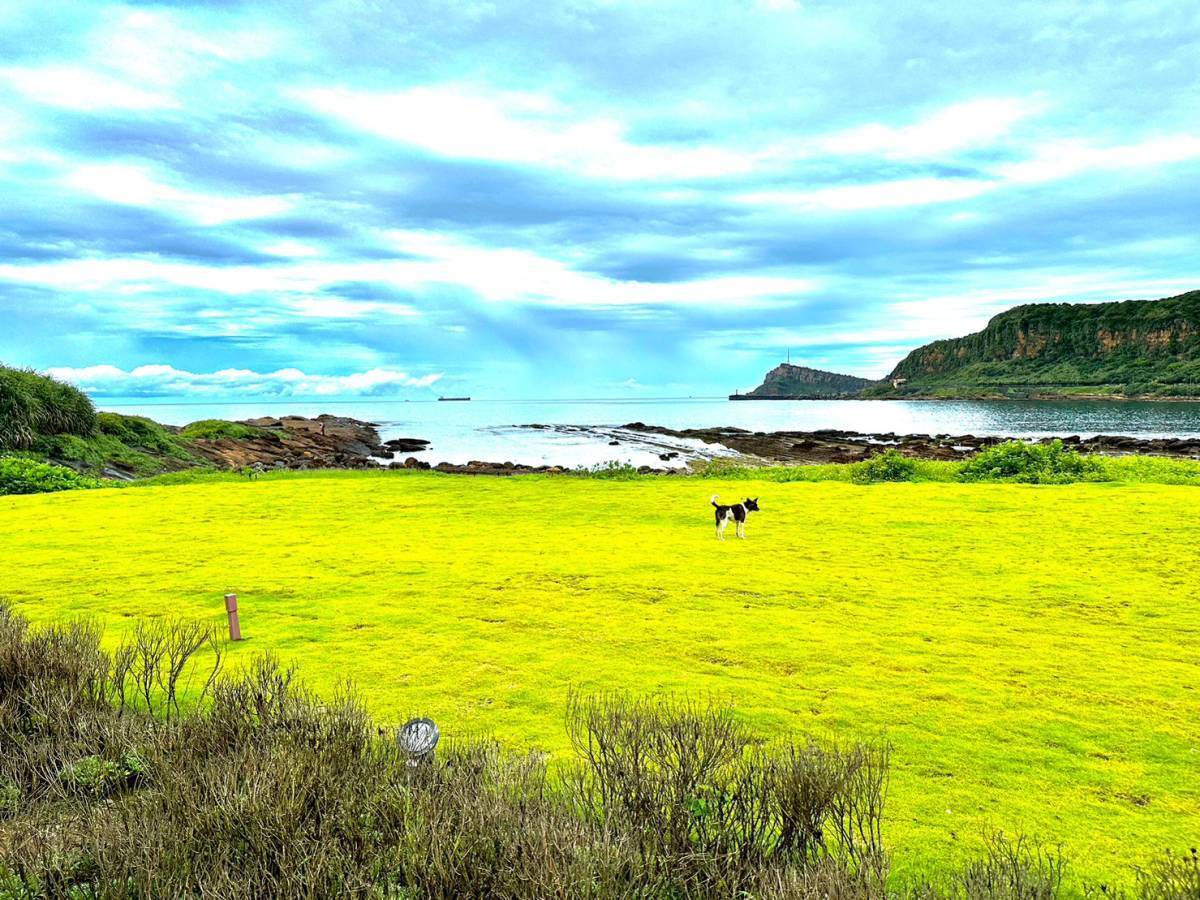 Overlooking Yehliu Cape and sea erosion terrain