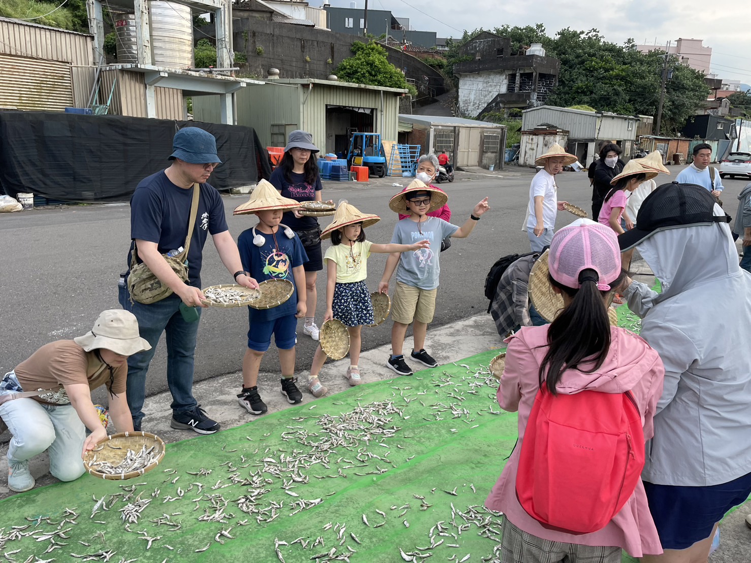 體驗曬魚乾