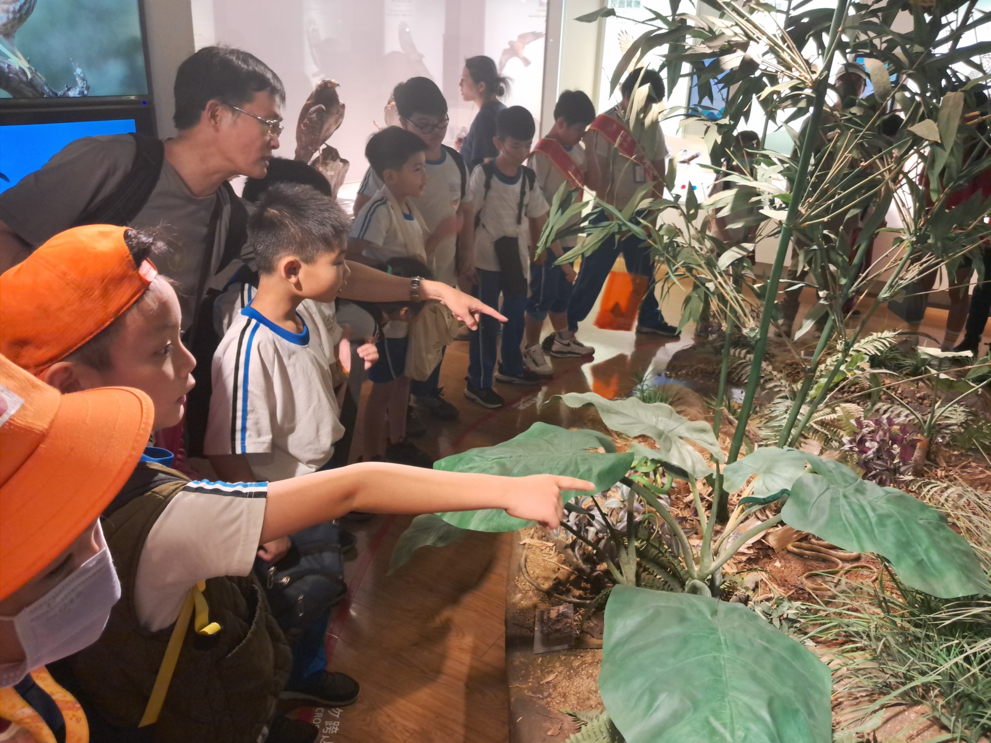 Guanyinshan Birds of Prey Museum