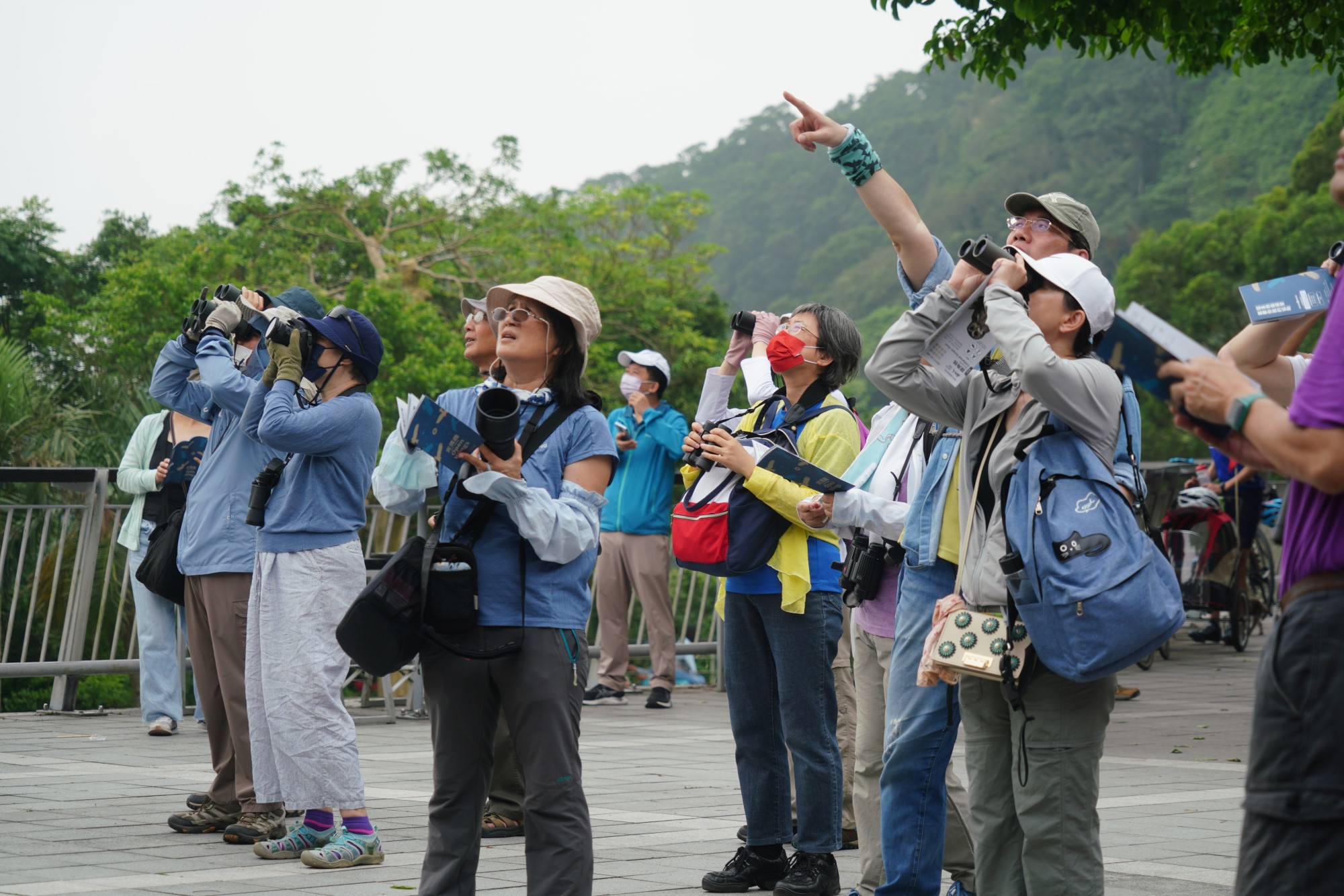 Eagle watching guided tour