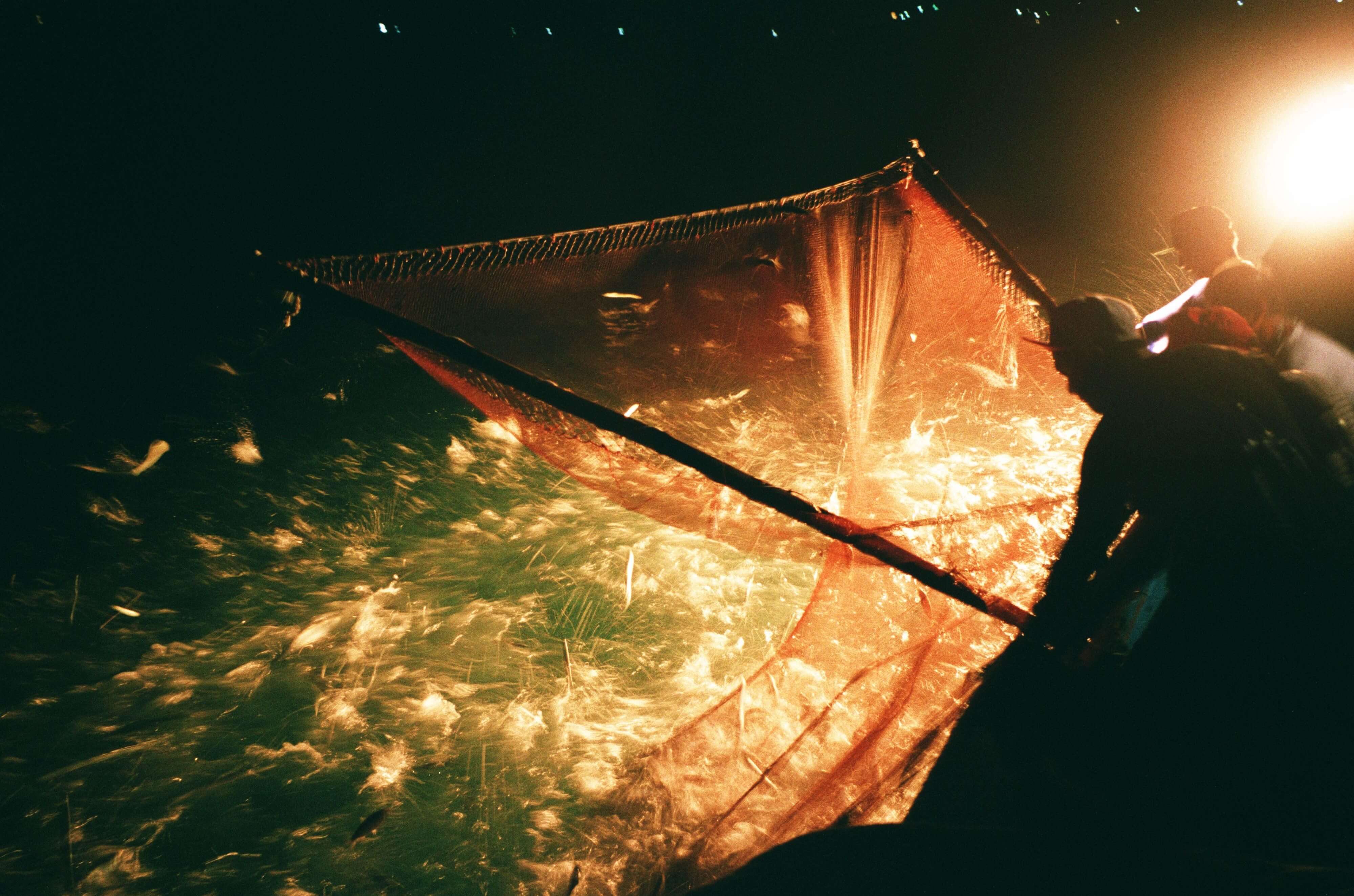 傳統捕魚法火誘網