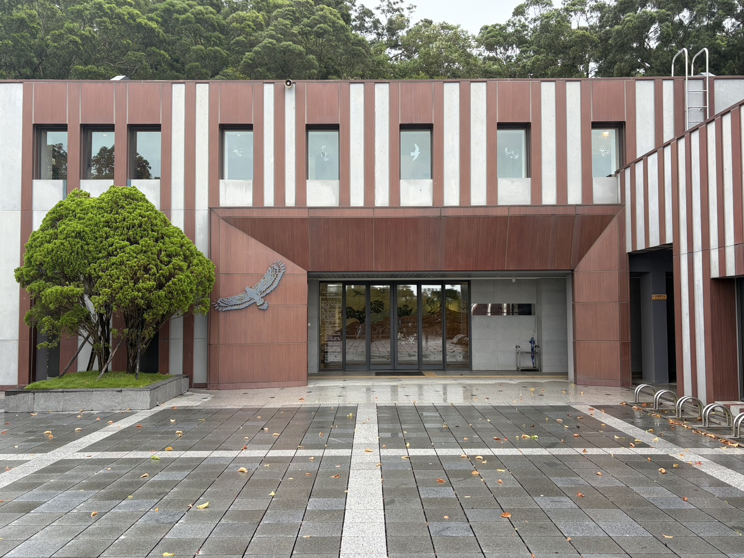 猛禽不撞窗，觀音山換「護鳥新裝」