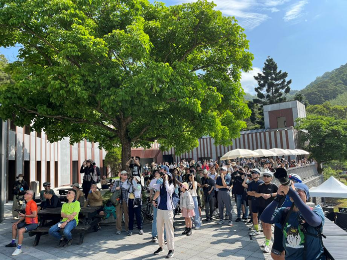 2026觀音觀鷹再觀櫻秋季登場