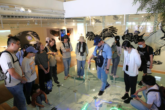 2026觀音觀鷹再觀櫻秋季登場