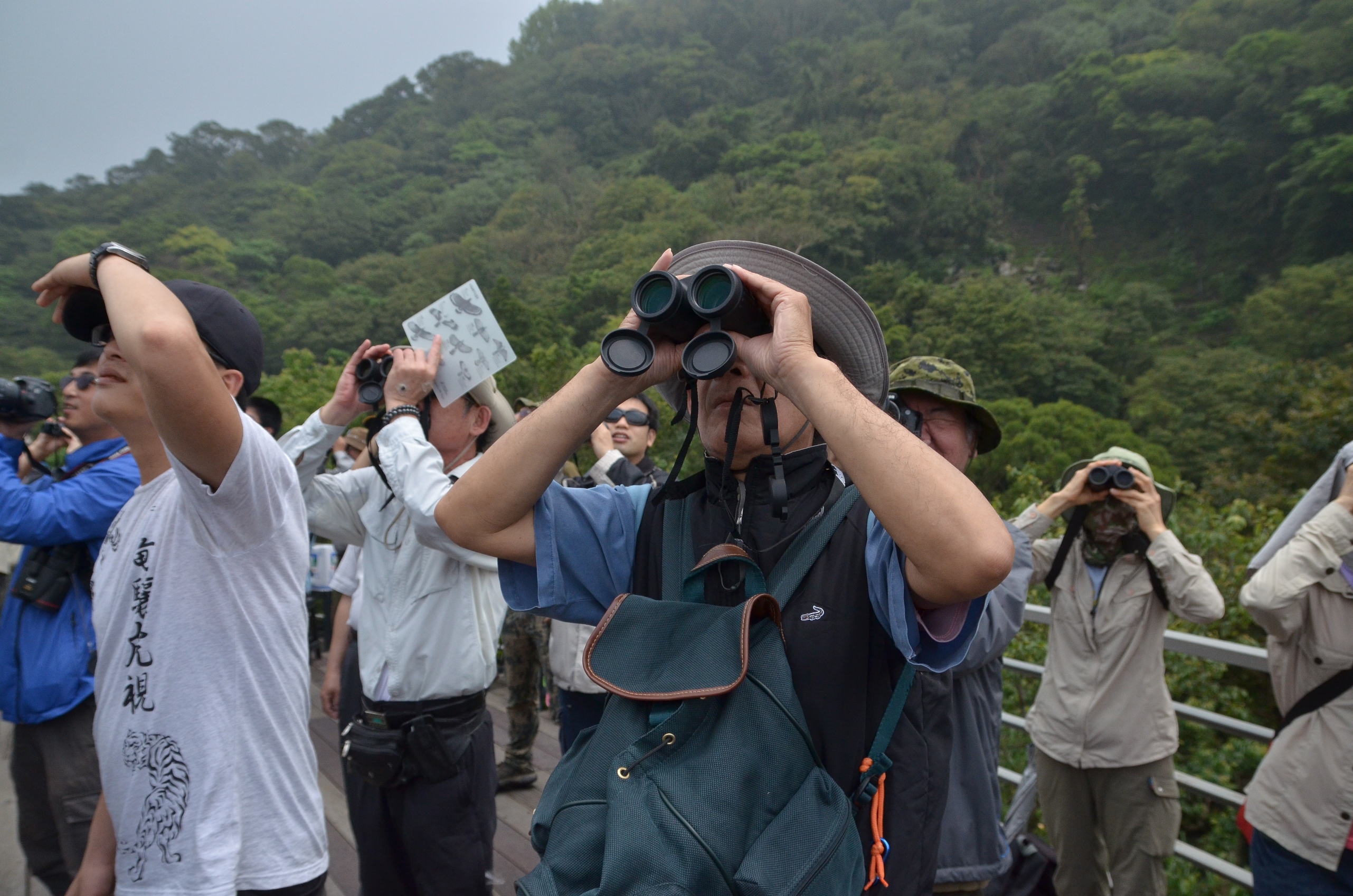 台北鳥會導覽老師帶領民眾觀察猛禽台北市野鳥學會提供