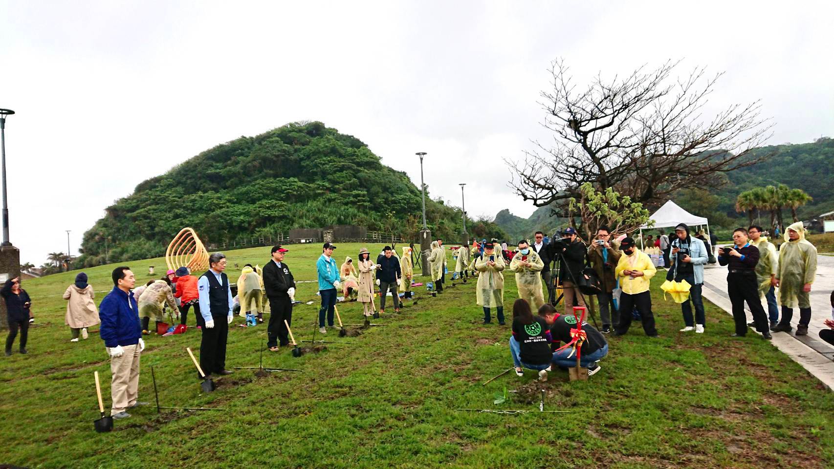 Growing trees, fighting against pneumonia