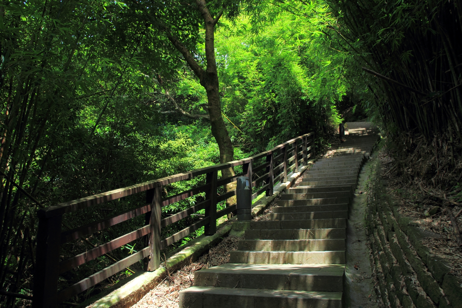 楓櫃斗湖步道