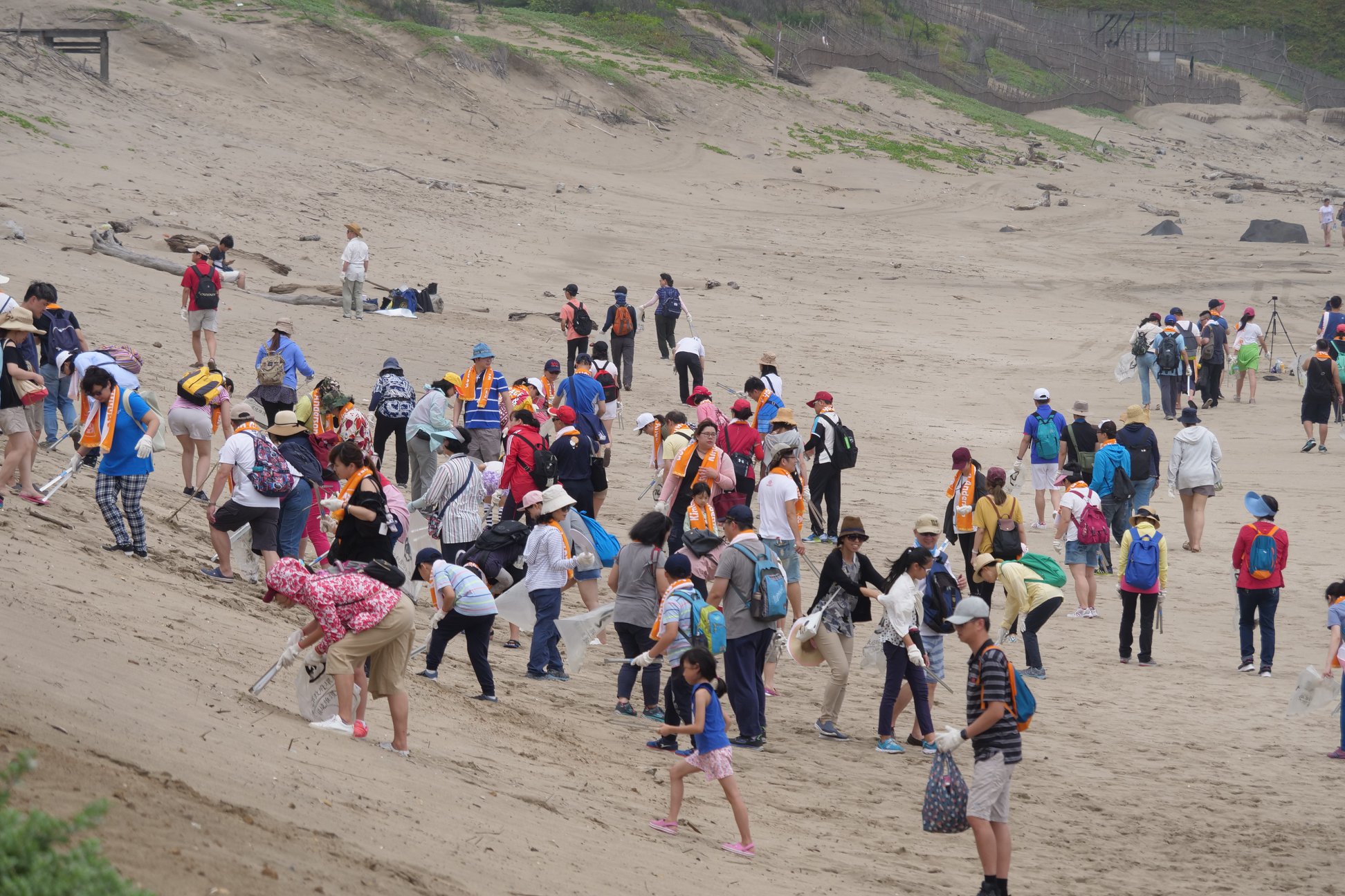Beach-cleaning held by various organizations together