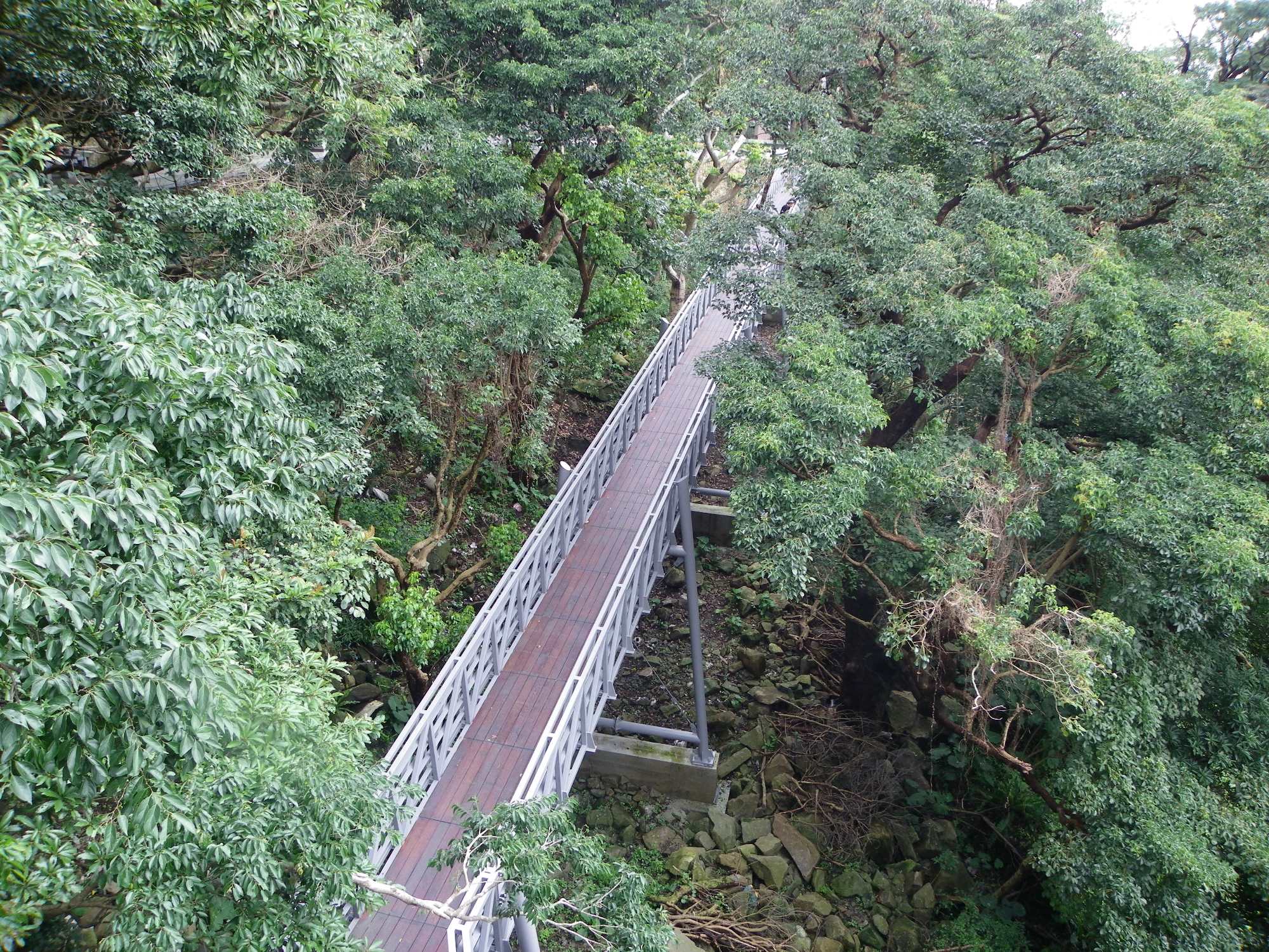 觀音山林梢步道