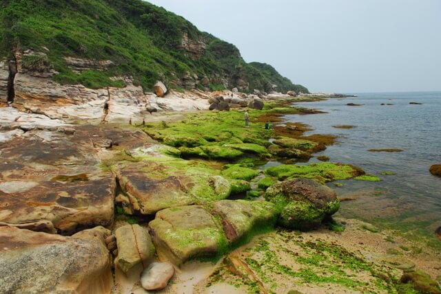 金山水尾港的岩礁