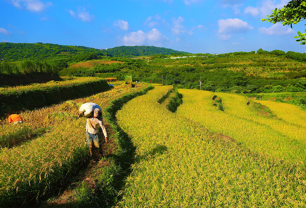 Hengshan terrace fields