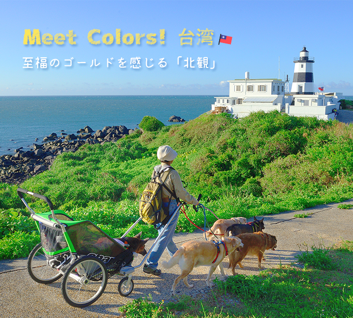 【Meet Colors!台湾】至福のゴールドを感じる「北観」(カルーセル画像)