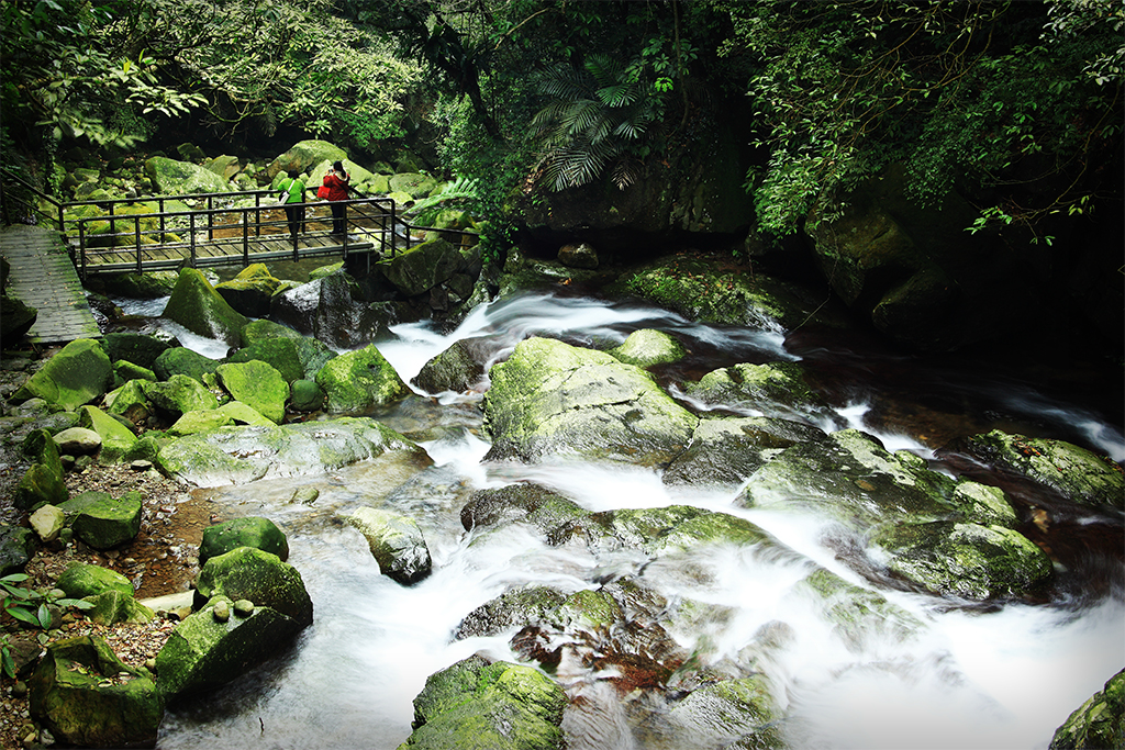 Ecological Tours