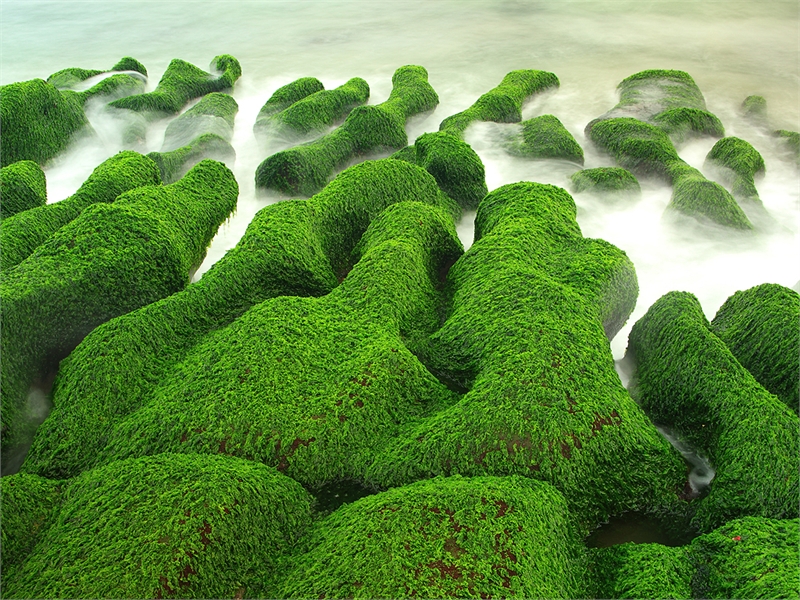 海岸のグリーンの石 写真2