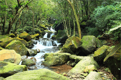 Qingshan Waterfall Trail