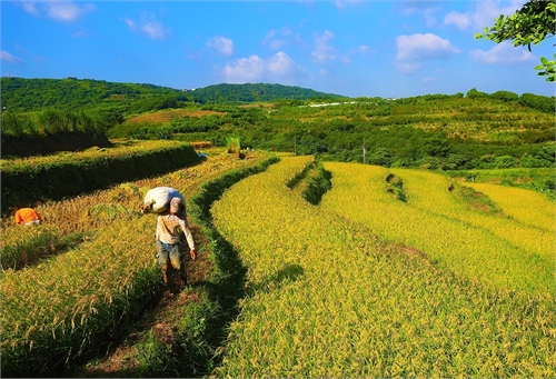 Hengshan Terraces