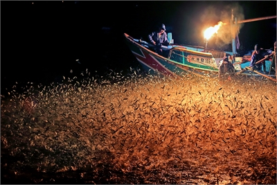 Jinshan Sulfuric Fire Fishing Culture Exhibition