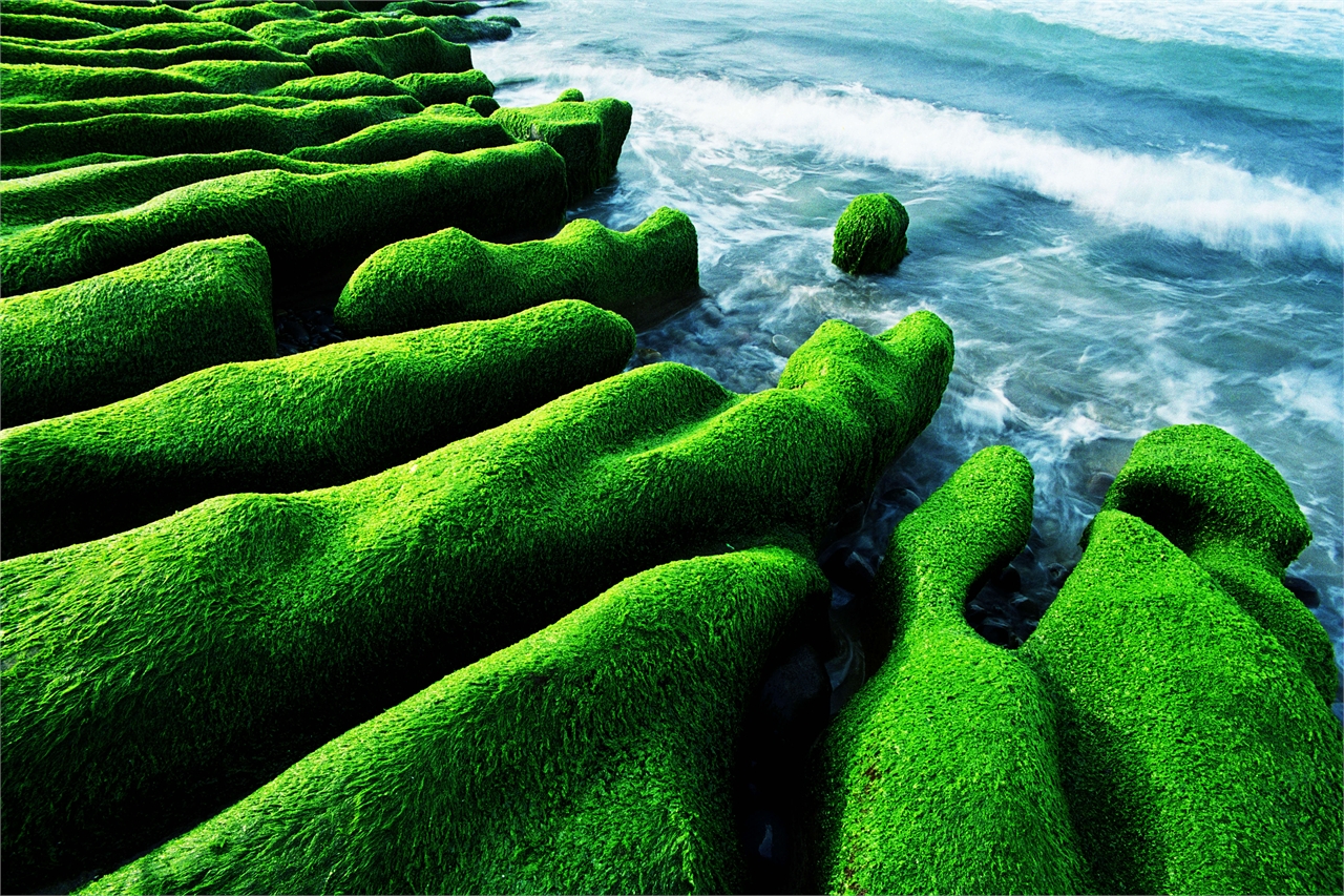  Laomei Green Reef