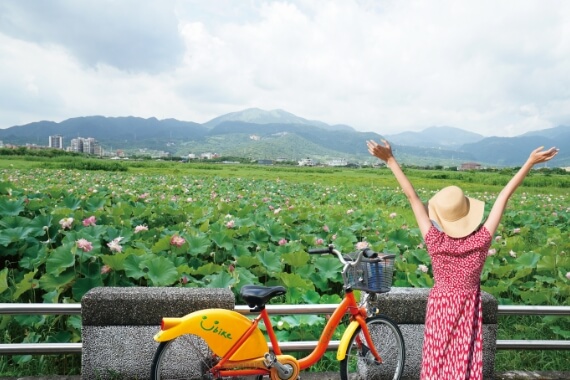 金山萬里サイクリングロード