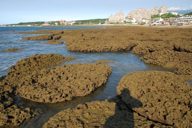淺水灣夏季藻類覆蓋率低